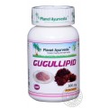 Planet Ayurveda-Gugullipid